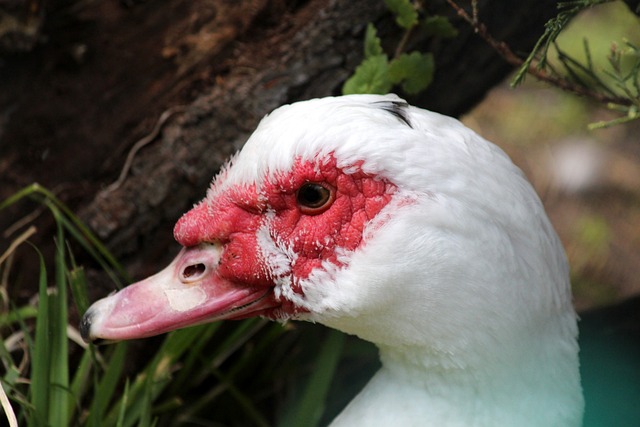 达成单赛季 达成单赛季