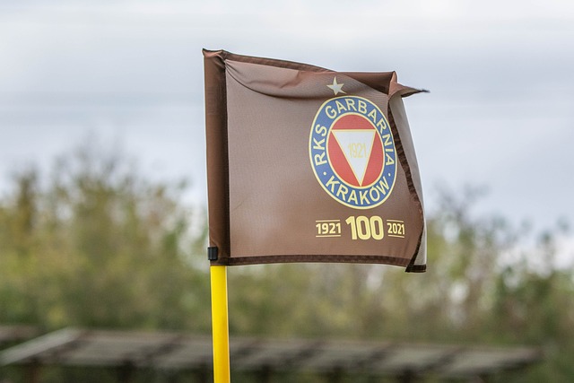 中继续延续 中继续延续