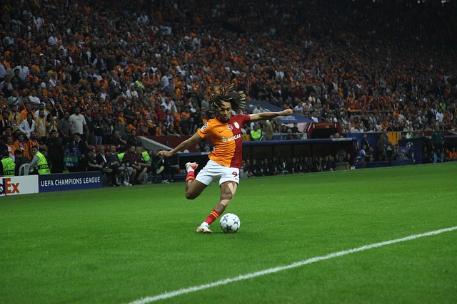 利用反击寻 利用反击寻