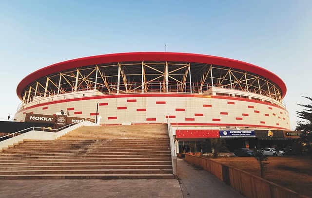 中国冰壶女 中国冰壶女