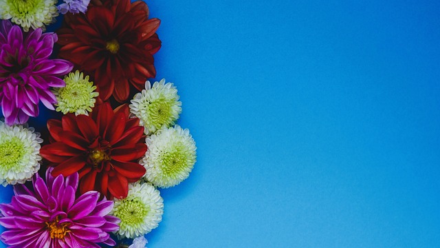 动态引发了 动态引发了