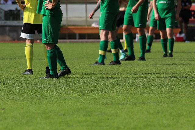 数据统计显 数据统计显