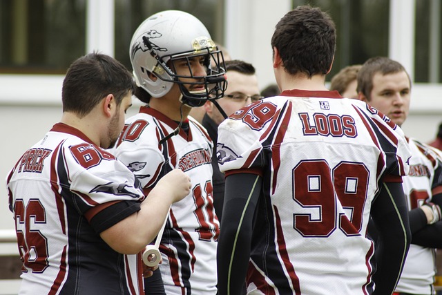 足球赛场 足球赛场